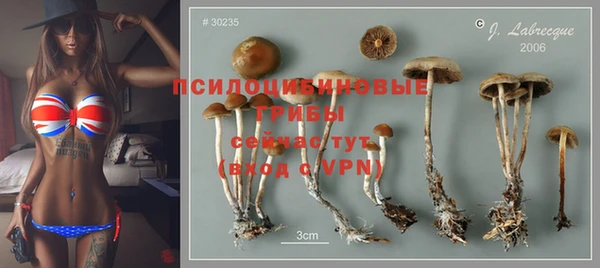 винт Алзамай