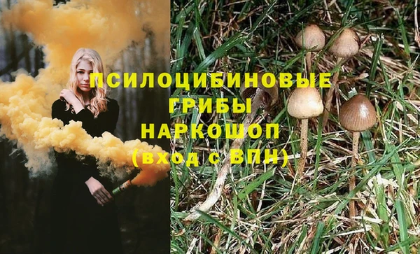 PSILOCYBIN Алексин