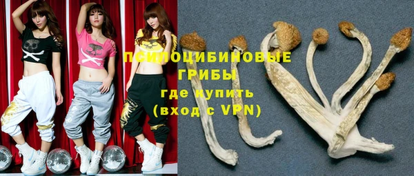 винт Алзамай
