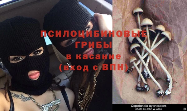 PSILOCYBIN Алексин
